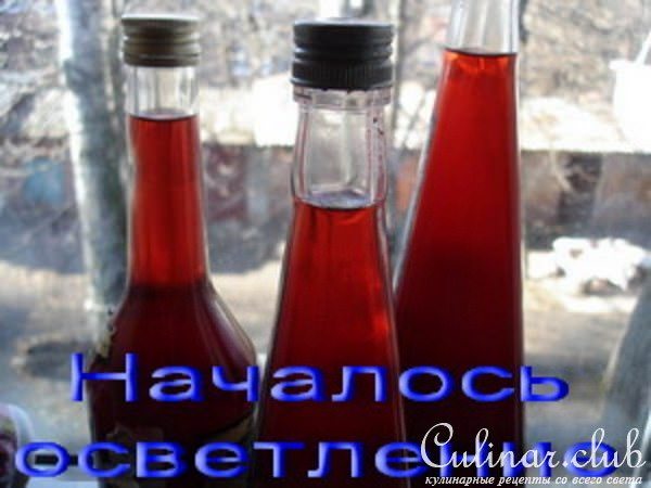 Виноградное домашнее вино