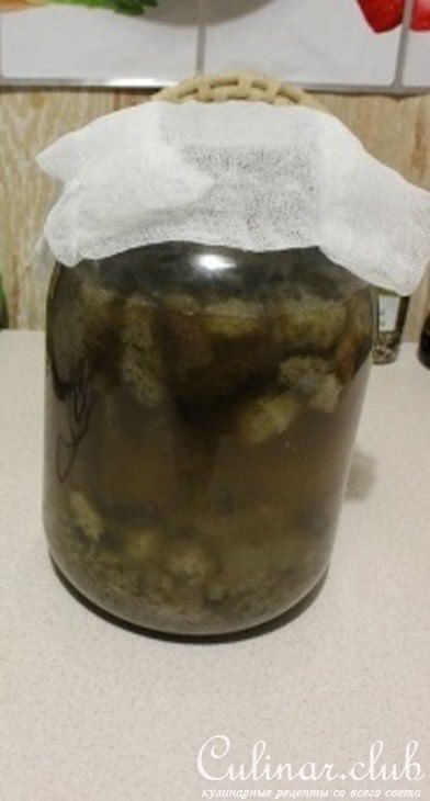 Домашний хлебный квас