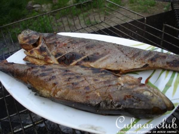 Радужная форель на мангале с дымком.