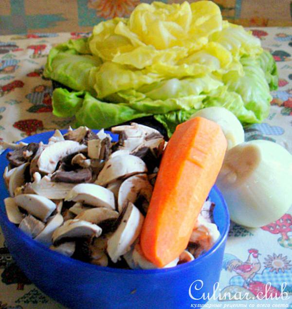 КАПУСТА ФАРШИРОВАННАЯ.