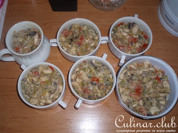 Куриное мясо с луком пореем под крышкой из теста