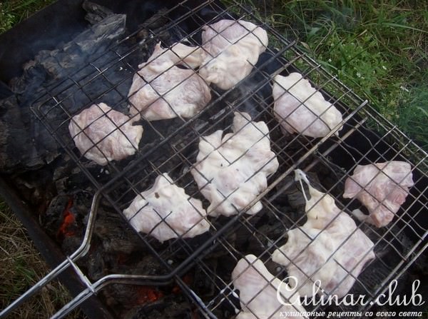 Шашлык из страуса