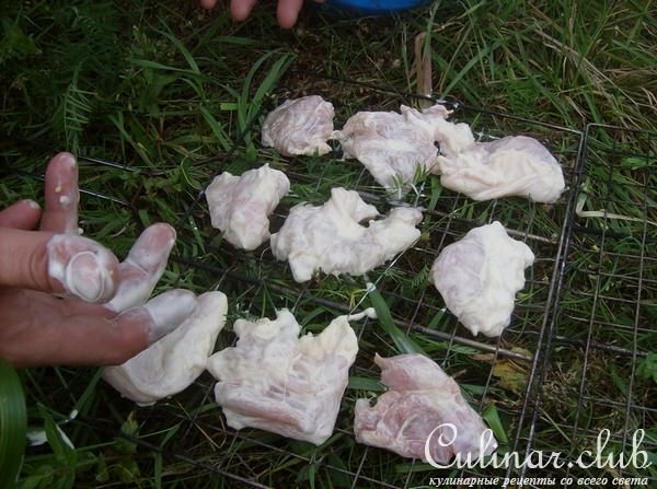 Шашлык из страуса