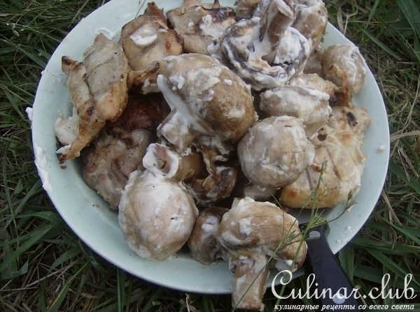 Шашлык из страуса