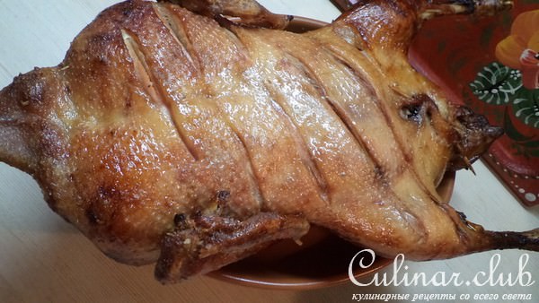 Рождественская утка с яблоками, клюквой и черносливом!