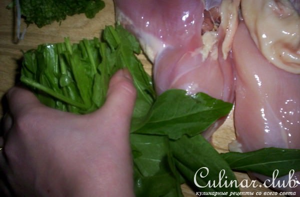 "Летняя Курица"