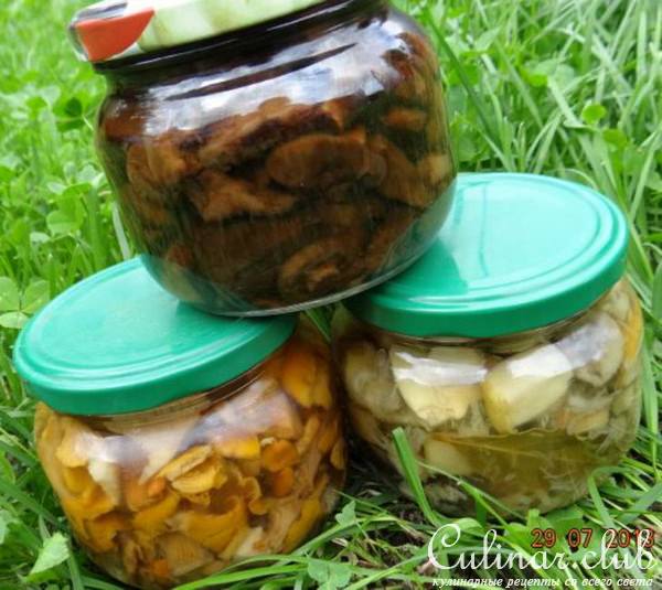 Грибочки маринованные (вариант)