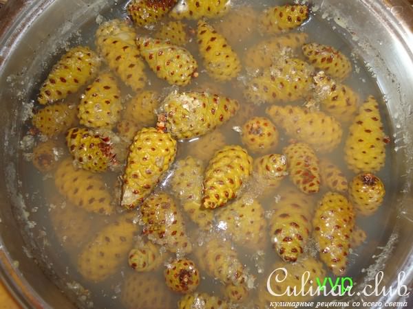Варенье из сосновых шишек