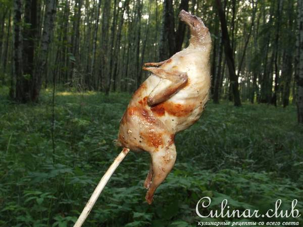перепелки, маринованные в кефире и приготовленные на открытом огне