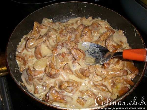 Счастливые Лисички!:)