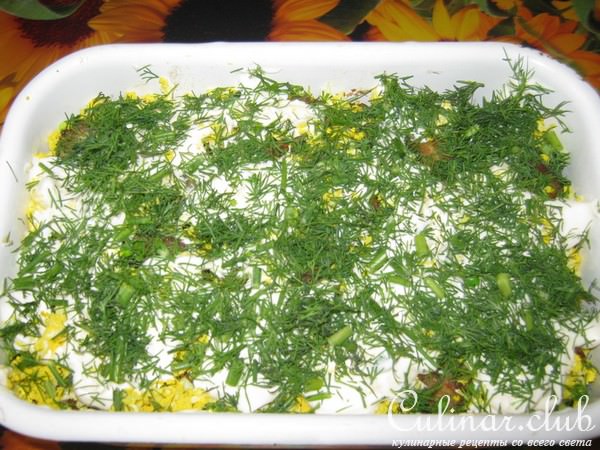 Кабачок под шапкой