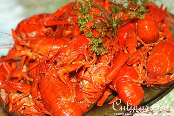 Раки в пиве с укропом и сливочным маслом по-Ростовски.