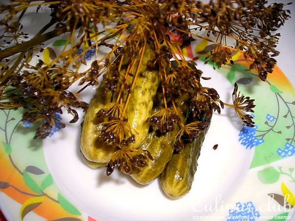 Огурчики хрустящие