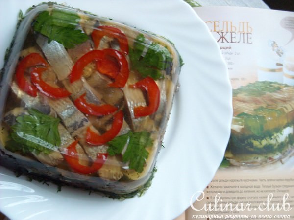 Сельдь в желе