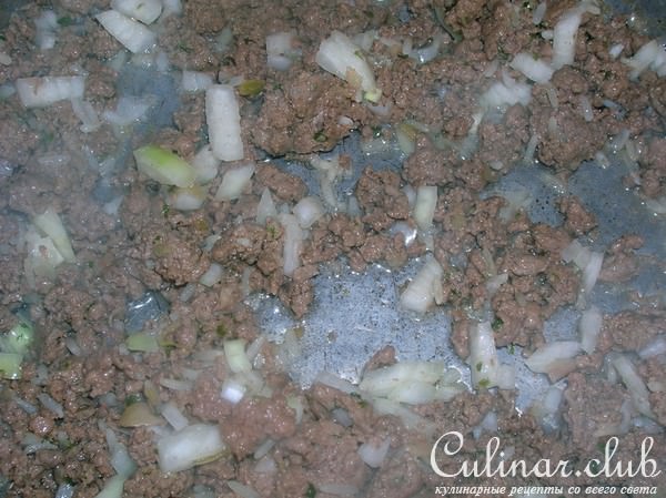 Брики с мясом и сыром