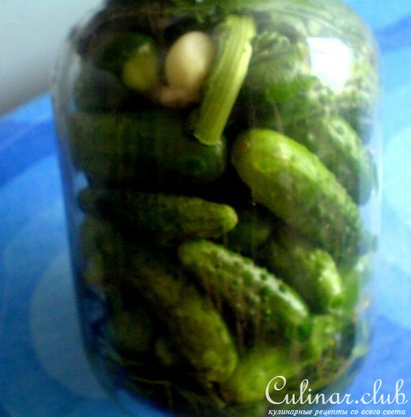 огурцы для моей семьи или на вкус и цвет...