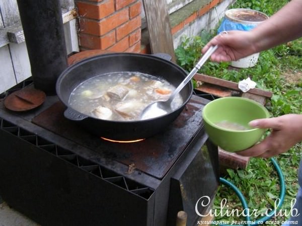 Уха дачная
