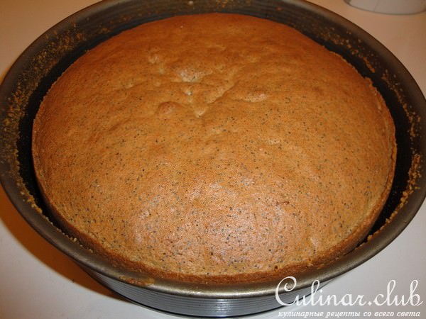 МАКОВЫЙ БИСКВИТ