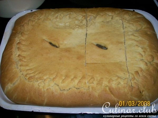 Пироги из бездрожжевого сдобного теста (с мясом и с яблоками)