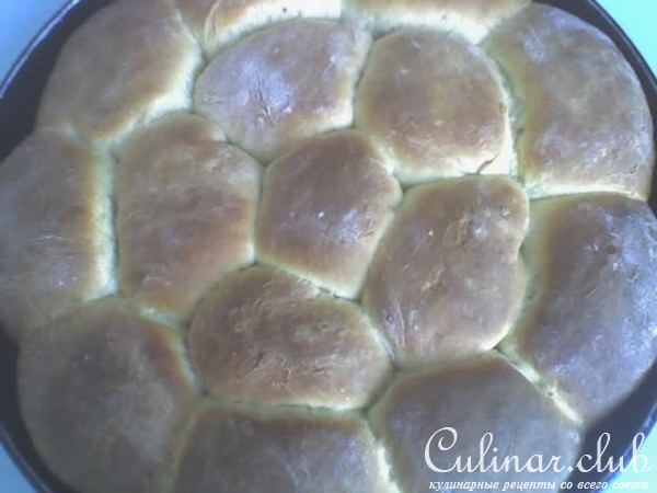 дружная семейка