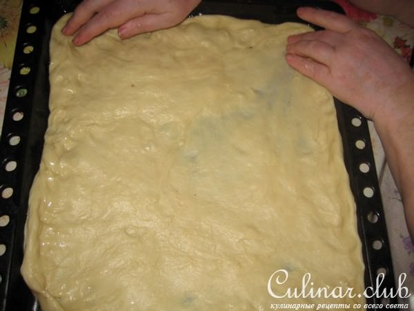 Легкий луковый пирог